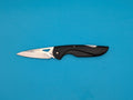Buck Access 463 Lockback Plain Edge Folding Pocket Knife!