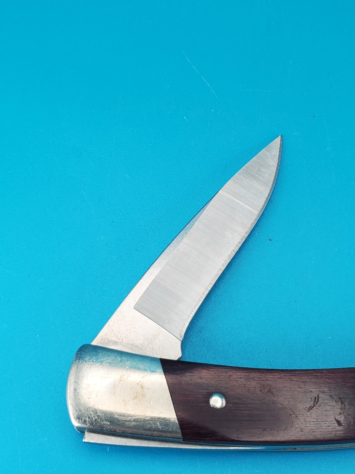 Buck USA Squire 501 Drop Point Lockback Pocket Knife! 2021! *PSNS & IMF PDQ*