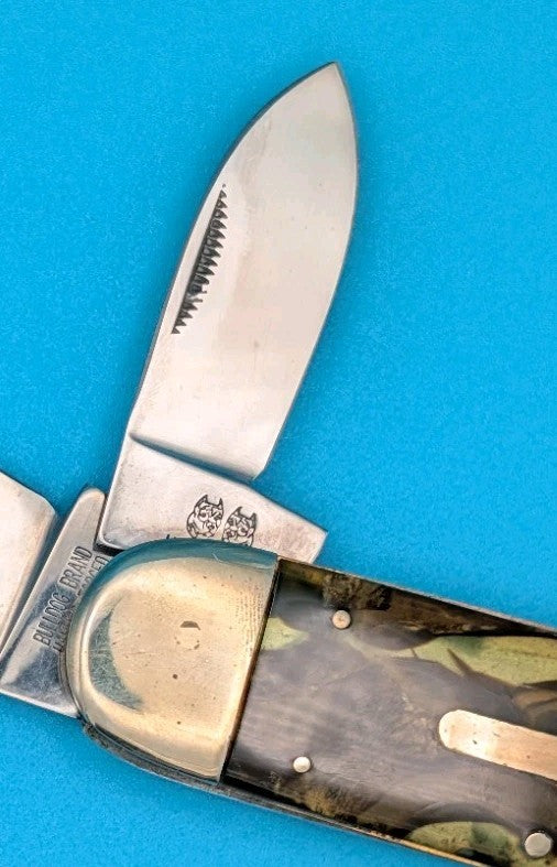 Bulldog Brand Germany "Black Bear" Hammer Forged Elephant Toe Pocket Knife!