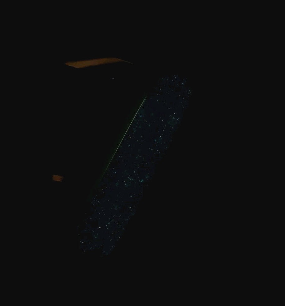 CUSTOM VICTORINOX FIELDMASTER GLOW IN THE DARK BLUE & YELLOW SWISS ARMY KNIFE!