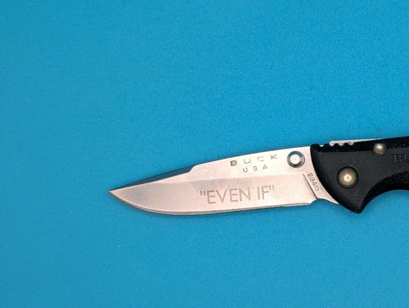 Buck USA Bantam BLACK 284 Folding Pocket Knife! *EVEN IF*