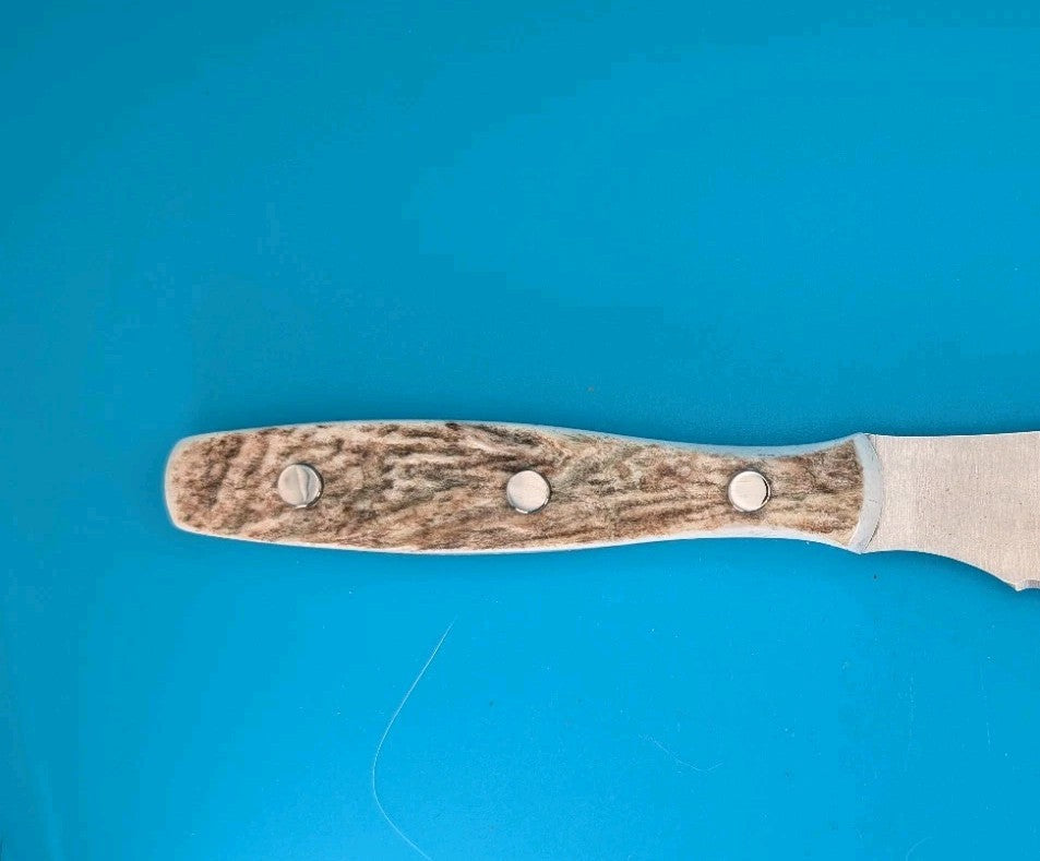 Buck USA 941 Elk Antler Handle Spreader Knife!