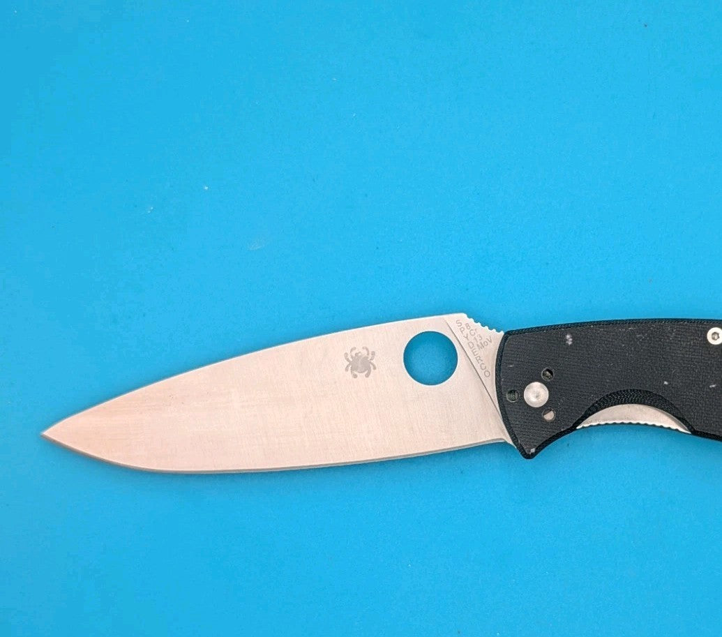 Spyderco Resilience Lightweight Folding Knife, SS Blade, Black FRN Handle