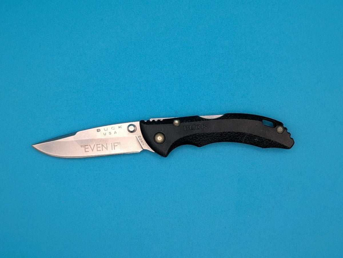Buck USA Bantam BLACK 284 Folding Pocket Knife! *EVEN IF*